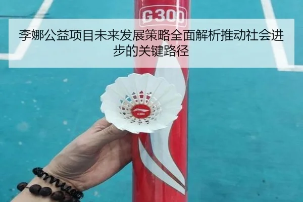 李娜公益项目未来发展策略全面解析推动社会进步的关键路径